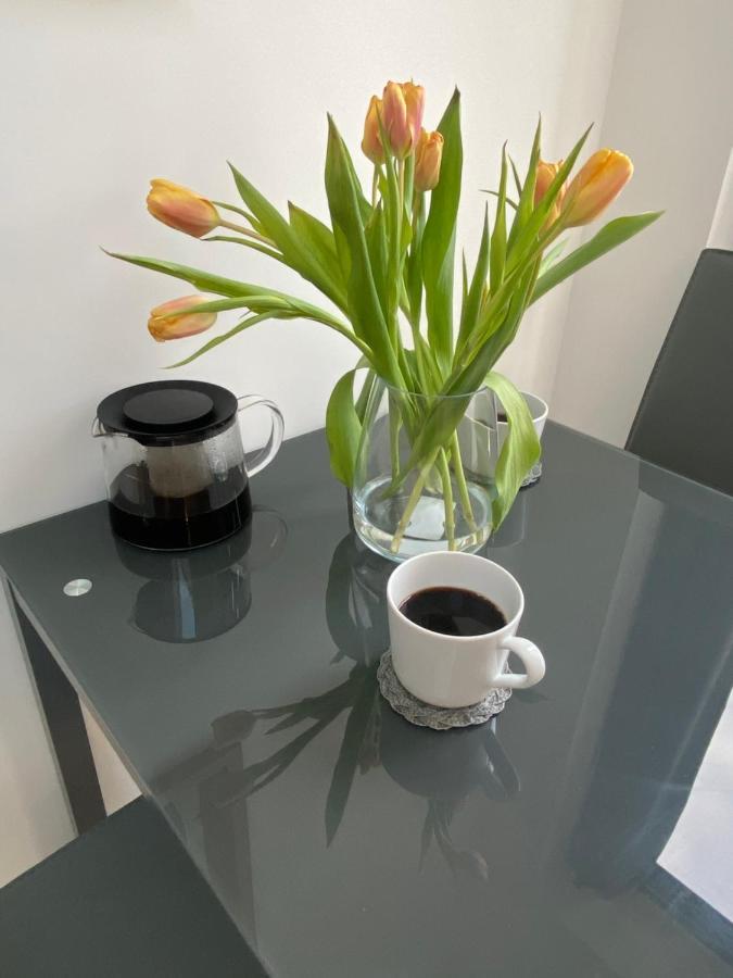 Lovely And Modern Studio Apartment. Μπόρχαμγουντ Εξωτερικό φωτογραφία